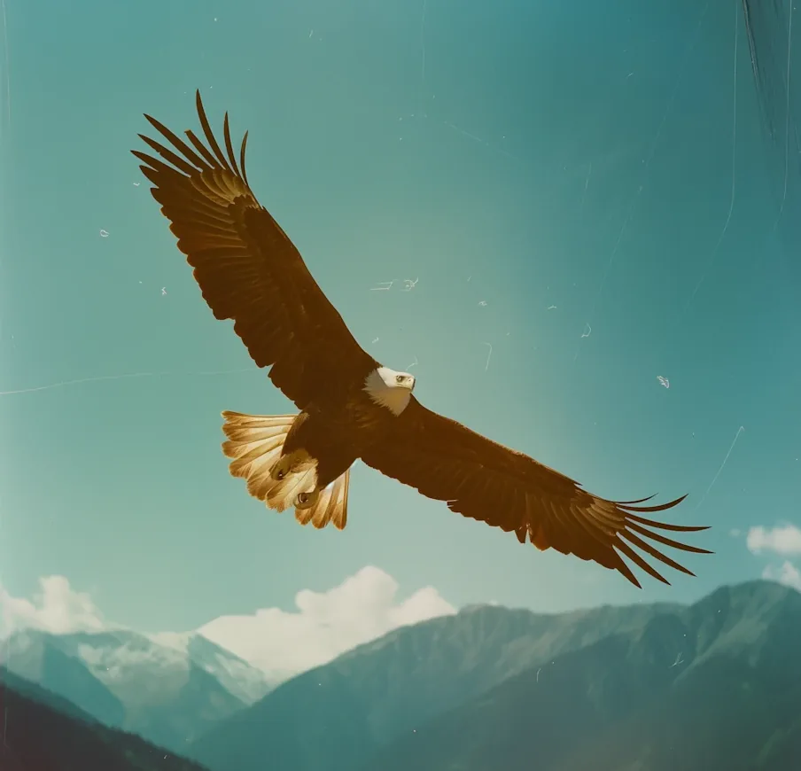 A bald eagle in flight above a mountain range, shot on expired film.